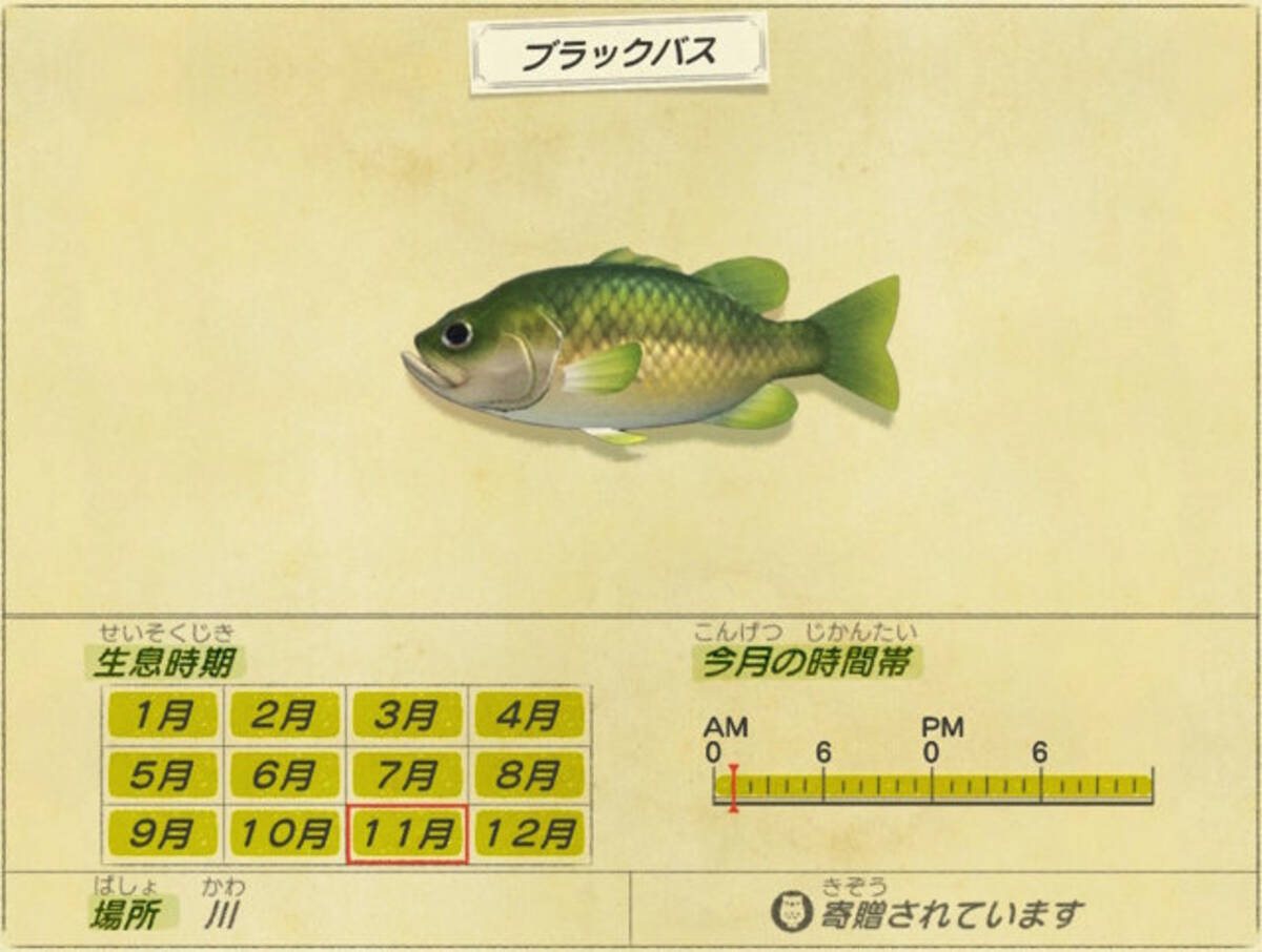 いつでもどこでも釣れるけど あつまれ どうぶつの森 の ドンコ ってどんな魚 平坂寛の あつ森 博物誌 21年2月4日 エキサイトニュース