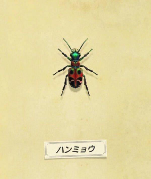 ミチオシエ の導く先は あつまれ どうぶつの森 に登場する ハンミョウ ってどんな虫 平坂寛の あつ森 博物誌 21年3月11日 エキサイトニュース