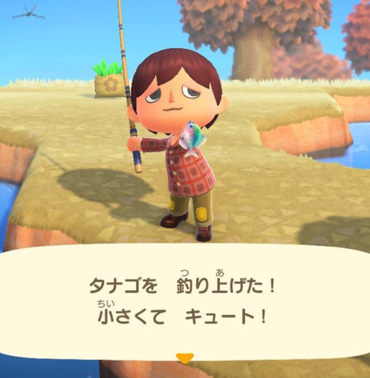 日本が世界に誇る美魚 あつまれ どうぶつの森 で釣れる タナゴ ってどんな魚 平坂寛の あつ森 博物誌 21年3月25日 エキサイトニュース