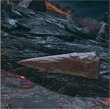 「『モンハンライズ』切断したモンスターの尻尾をじっくり観察！その断面には、外側からはわからない秘密がいっぱい」の画像4