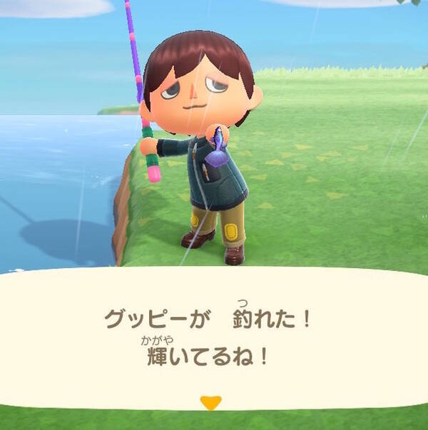 日本にもいる あつまれ どうぶつの森 で釣れるグッピーってどんな魚 平坂寛の あつ森 博物誌 21年4月29日 エキサイトニュース