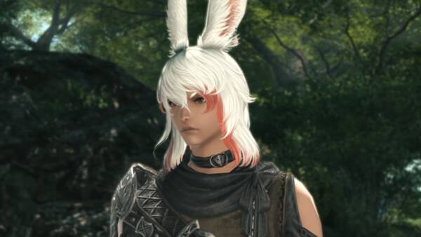 Ff14 暁月のフィナーレ プレイヤー種族に 男性ヴィエラ が新たに追加 後に 女性ロスガル も実装予定 21年5月15日 エキサイトニュース