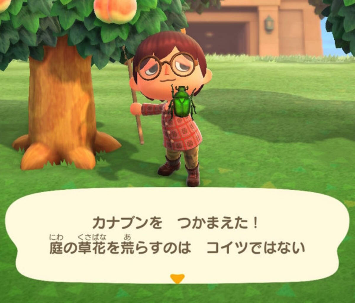 意外と謎だらけ あつまれ どうぶつの森 に登場する カナブン ってどんな虫 21年7月8日 エキサイトニュース