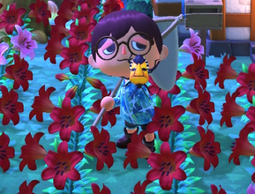 リーゼントヘア…に見えません？『どうぶつの森』に登場する「ジンメンカメムシ」って何者？