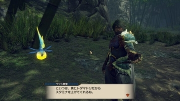Steam版『モンスターハンターライズ』は、グラフィック強化で狩猟体験がよりリアルに！ Switch版とのプレイ感触の違いも【プレイレポ】