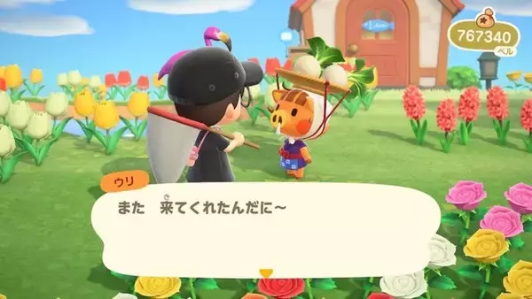 「『あつ森』カブで儲けたい人必見！ 大型アプデ後、ベル稼ぎする方法＆人の島へ行くときのNG行為」の画像