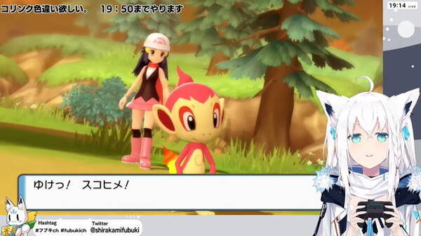 白上フブキさん ポケモン ダイパリメイク で修羅の道へ ヒコザル入手に2日粘った 色違い縛りプレイ が話題騒然 21年11月26日 エキサイトニュース