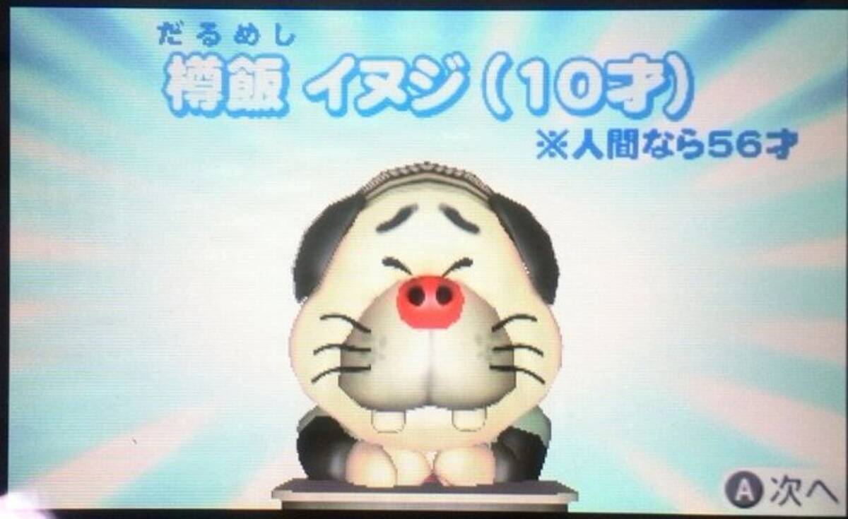 だ る めし スポーツ 店