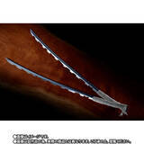 「「鬼滅の刃」1/1サイズ「日輪刀」が抽選販売！映画主題歌「炎」＆セリフを収録した煉獄杏寿郎など全4種」の画像16