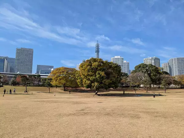 「【コスプレ】みなとみらいで新コスイベ「ANIMEK」開催！バニーにテイオー、レぜまで絶好ロケで撮った美麗レイヤー7選【写真45枚】」の画像