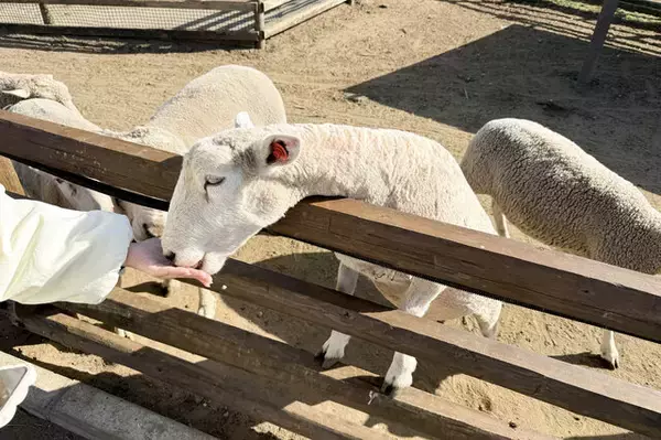 「【レポ】ワープポイントで気がついたらマザー牧場に？！『原神』オフラインイベント「月の在処へ」を満喫したい人に向けた完全攻略レポート」の画像