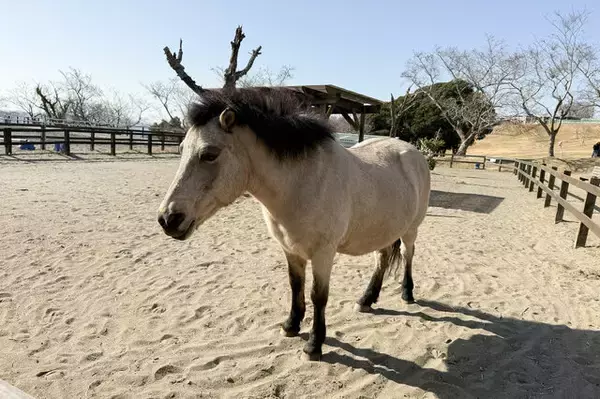 「【レポ】ワープポイントで気がついたらマザー牧場に？！『原神』オフラインイベント「月の在処へ」を満喫したい人に向けた完全攻略レポート」の画像