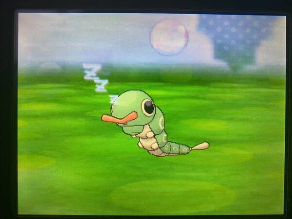 ポケモン 衝撃 キャタピーのまんまるお目々は 模様 だった 22年4月日 エキサイトニュース