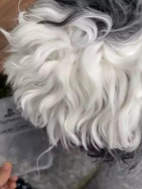 「「ぬい活」ってなに！？気になっているけどまだ未体験のあなたに、2ステップで始められるライトな推し活のススメ【年末年始特集】」の画像