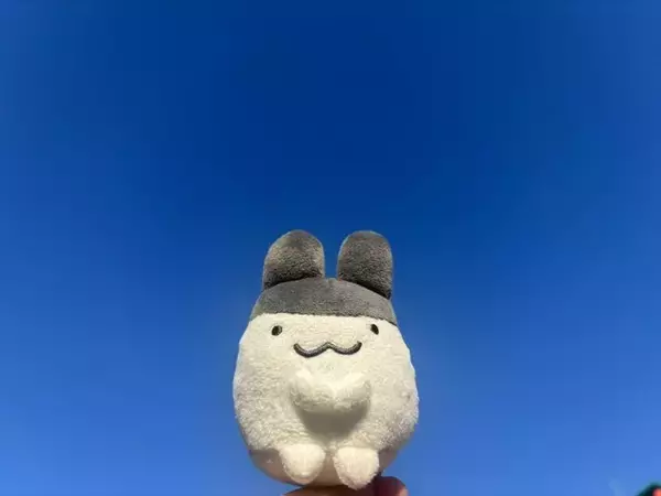 「「ぬい活」ってなに！？気になっているけどまだ未体験のあなたに、2ステップで始められるライトな推し活のススメ【年末年始特集】」の画像