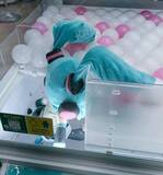 「「そんなに嫌ですか？」 クレーンゲーム中の“拒絶ミクさん”に爆笑　絶妙な体勢で出口を拒む姿が話題に」の画像1