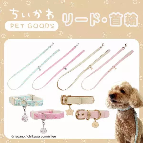 「ちいかわマーケット1月30日発売の新商品をチェック！「まじかるちいかわ」ウォーターシールなどステーショナリー、モモンガのペットハウスも」の画像