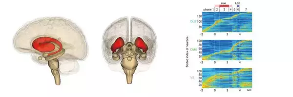 「「ゲームを止めたくても止められないのはナゼ？」に対する答えが話題に―ゲーマーならではの悩みが「子ども科学電話相談」で解決？」の画像