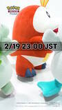 「『ポケポケ』最新情報が2月19日23時に公開！“パルデア御三家の新パック”を示唆する予告映像も」の画像3