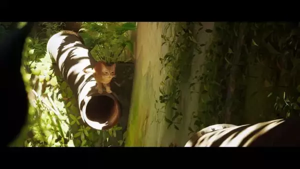 Steamで圧倒的に好評のSF猫アドベンチャー『Stray』スイッチ版が2024年冬発売予定【Nintendo Direct 2024.6.18】