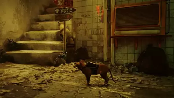 「Steamで圧倒的に好評のSF猫アドベンチャー『Stray』スイッチ版が2024年冬発売予定【Nintendo Direct 2024.6.18】」の画像