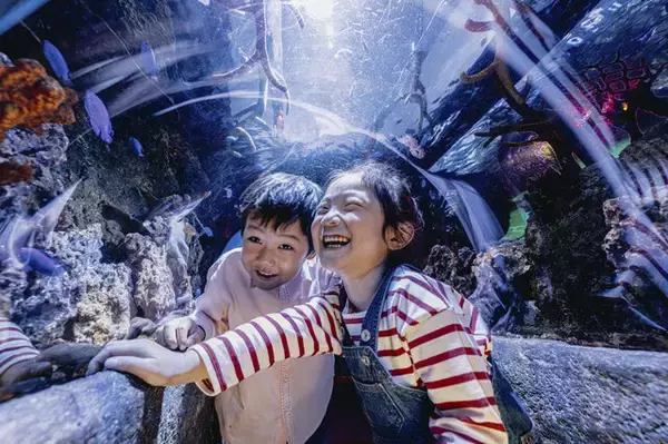 「『あつ森』×「名古屋シーライフ水族館」コラボが期間限定開催！フータによる解説や限定グッズ販売、「小さなかいがらのリースづくり」ワークショップなど」の画像