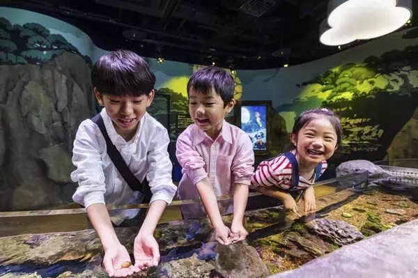 「『あつ森』×「名古屋シーライフ水族館」コラボが期間限定開催！フータによる解説や限定グッズ販売、「小さなかいがらのリースづくり」ワークショップなど」の画像