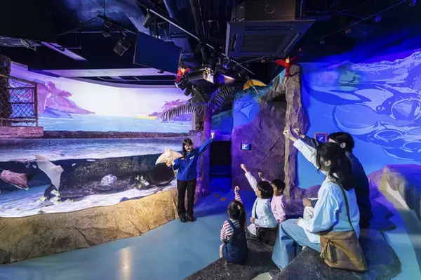 「『あつ森』×「名古屋シーライフ水族館」コラボが期間限定開催！フータによる解説や限定グッズ販売、「小さなかいがらのリースづくり」ワークショップなど」の画像