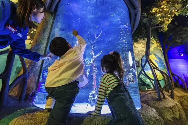 「『あつ森』×「名古屋シーライフ水族館」コラボが期間限定開催！フータによる解説や限定グッズ販売、「小さなかいがらのリースづくり」ワークショップなど」の画像