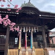 ここ東京なの？今だけの桜の御朱印がかわいすぎる！河津桜が満開の「桜神宮」は春こそ行きたいパワースポット