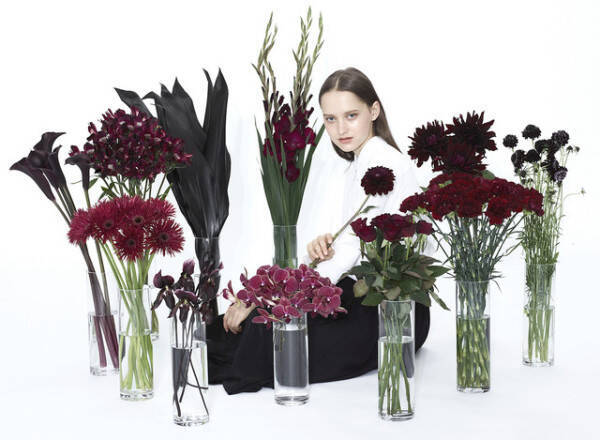 ミステリアスでかっこいい 黒い花 だけを扱う会員制のお花屋さんが会員の募集をスタート 17年7月13日 エキサイトニュース
