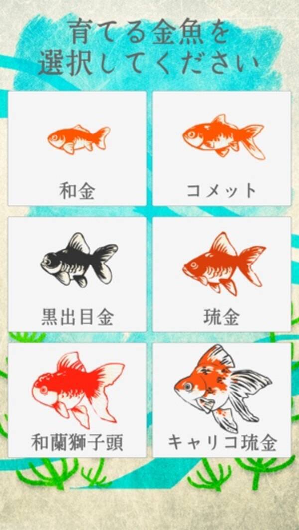 こんなに癒されていいの 稚魚から育てる 金魚育成アプリ が愛しすぎる 15年8月28日 エキサイトニュース こんなに癒されていいの 稚魚から育てる 金魚育成アプリ が愛しすぎる 15年8月28日 エキサイトニュース