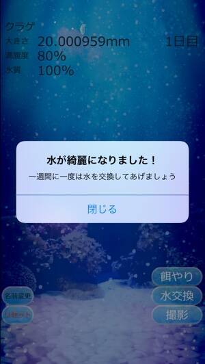 密かに大人気 クラゲをiphoneで飼育できる 癒しのクラゲ育成ゲーム 15年11月7日 エキサイトニュース