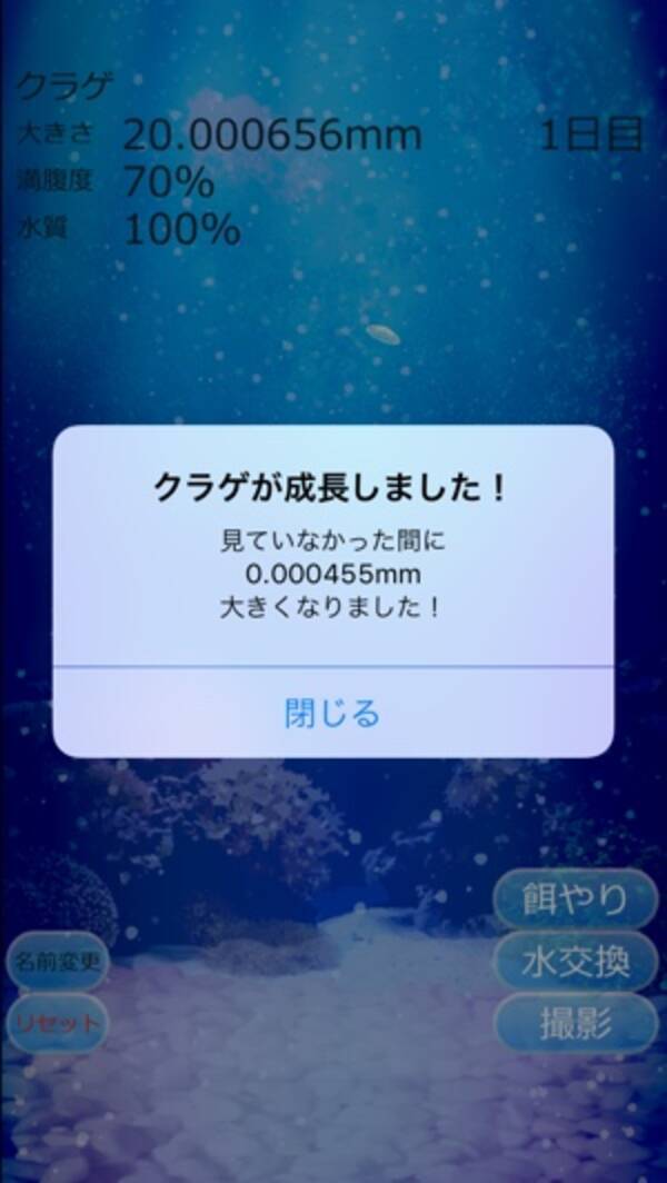 密かに大人気 クラゲをiphoneで飼育できる 癒しのクラゲ育成ゲーム 15年11月7日 エキサイトニュース