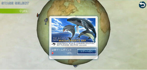 世界中のクジラを探して写真に収めるエンタメアプリ リアルホエール が超面白い 16年5月31日 エキサイトニュース