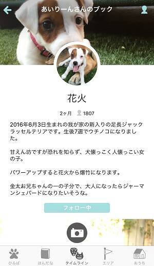 犬猫の魅力がいっぱい 糸井重里さん開発 犬猫sns ドコノコ のユーザーオフ会に参加してきました 16年8月30日 エキサイトニュース 2 3