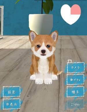 癒される ひたすら子犬が可愛い放置系育成ゲーム 幸せの犬育成ゲーム3d 16年9月4日 エキサイトニュース