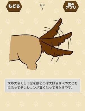 あなたは全部わかる クイズ形式で犬の 謎しぐさ を解明するゲームが勉強になると評判 16年11月10日 エキサイトニュース