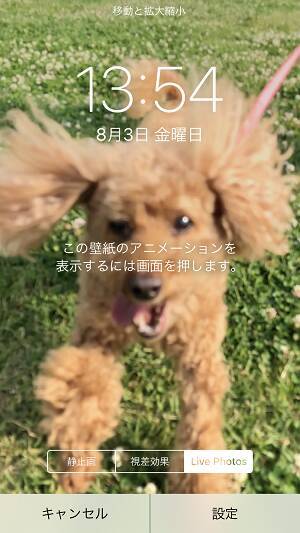 お気に入りの動画を動く壁紙に Iphone 6s以前の機種でもライブフォトが作れるアプリ Pictalive はもう使った 18年10月17日 エキサイトニュース