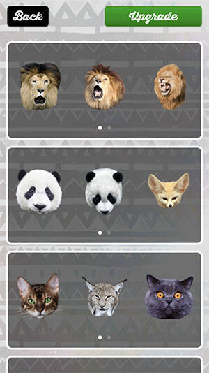 かわいいだけじゃ満足できない 加工アプリ Animal Face で簡単にワイルドアニマルに変身できる 18年8月30日 エキサイトニュース