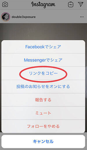 これで解決 インスグラムで気になる文章やハッシュタグをコピーする方法 18年12月5日 エキサイトニュース