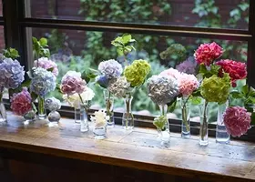 人気のフレンチトーストも 限定アフタヌーンティーが青山フラワーマーケット 南青山本店のカフェに登場 18年4月22日 エキサイトニュース