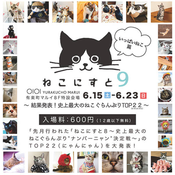 今週末のおすすめ東京イベント10選 6月22日 6月23日 19年6月21日 エキサイトニュース