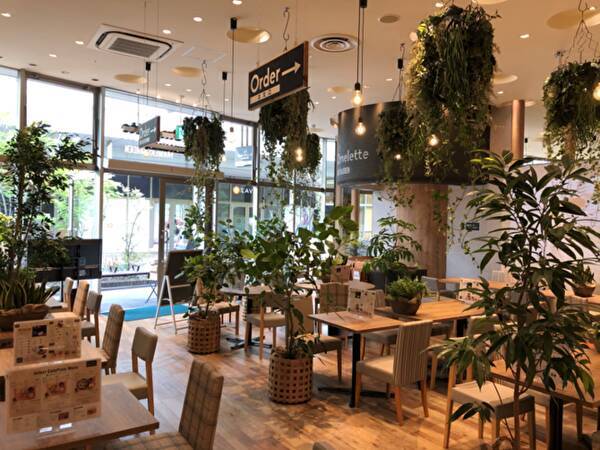 かわいすぎる Dogアイス が大人気 癒しのcafeオムレット 新店舗がイオンモール名古屋茶屋にopen 年8月14日 エキサイトニュース
