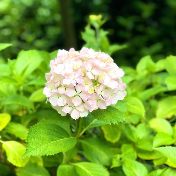 雨の日どう過ごす 雨だからって紫外線は油断禁物 めんどくさがり屋さんでも使いやすい日焼け止め5選 21年5月22日 エキサイトニュース