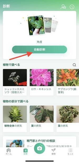 最近おうちの植木が元気がないかも 植物図鑑アプリ Picturethis の診断機能で原因究明してみない 21年5月25日 エキサイトニュース