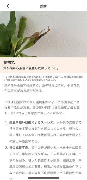 最近おうちの植木が元気がないかも 植物図鑑アプリ Picturethis の診断機能で原因究明してみない 21年5月25日 エキサイトニュース