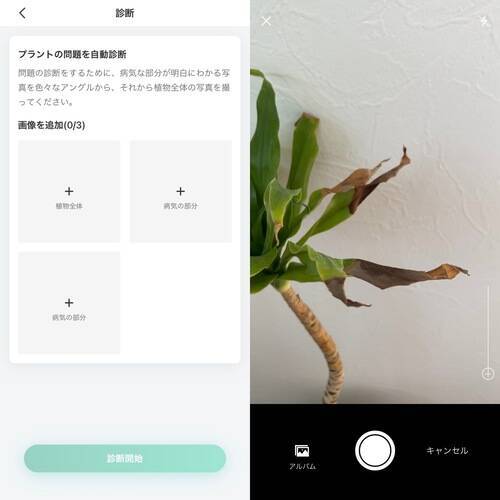 最近おうちの植木が元気がないかも 植物図鑑アプリ Picturethis の診断機能で原因究明してみない 21年5月25日 エキサイトニュース