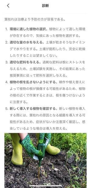 最近おうちの植木が元気がないかも 植物図鑑アプリ Picturethis の診断機能で原因究明してみない 21年5月25日 エキサイトニュース