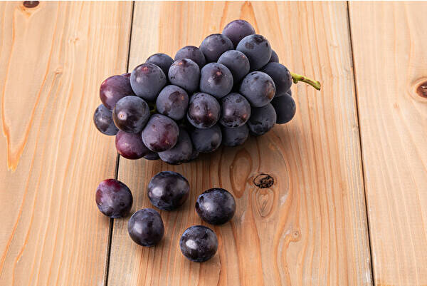 前橋の白井屋ホテルにブルーボトルコーヒーがOPEN。お隣のザ・パティスリーではコラボタルトが楽しめます